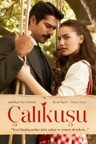 Calikusu – Episode 15